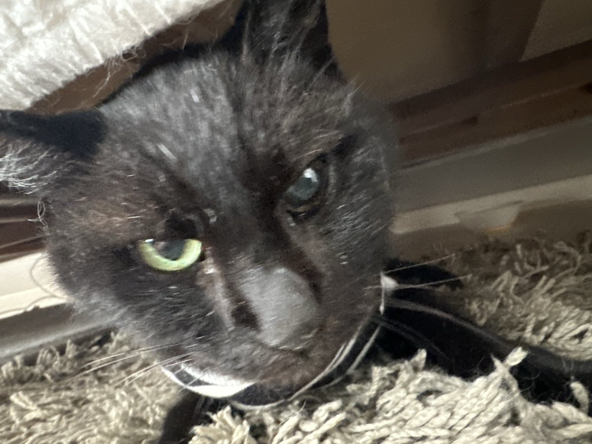 YOKO🌙 (@lc2674styk) / Posts / X