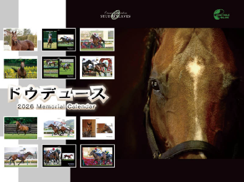 sala__life's tweet photo. ドウデュース2026卓上カレンダー●他ドウデュースグッズはトートバック・マウスパッド・マグカップ・膝掛けブランケットなど ⇨https://t.co/KVYXYHJ7NT
 #ドウデュース
#競馬グッズ
#サラブレッドライフ https://t.co/RJFhDMICxj