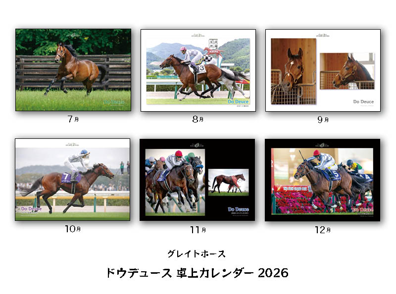sala__life's tweet photo. ドウデュース2026卓上カレンダー●他ドウデュースグッズはトートバック・マウスパッド・マグカップ・膝掛けブランケットなど ⇨https://t.co/KVYXYHJ7NT
 #ドウデュース
#競馬グッズ
#サラブレッドライフ https://t.co/RJFhDMICxj