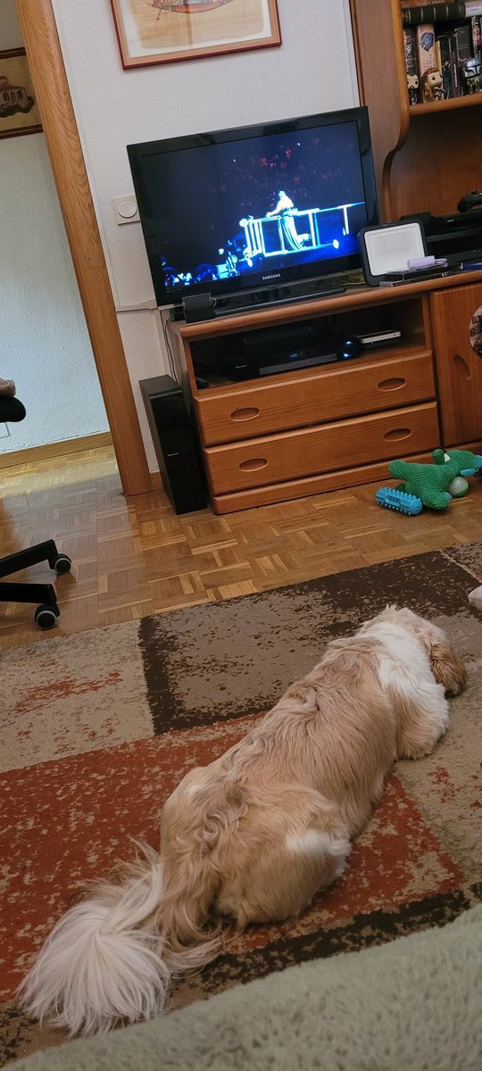 De fiesta con THOR enseñándole lo que es la buena música y una gran voz 💖🎶 sí... estoy pausinizando a mi perri hermano 🤣 en las canciones movidas mira la tele atento... en las baladas se relaja y se tumba todo lo largo que es 🥰 <a href="/LauraPausini/">Laura Pausini</a> cura y relaja #laurapausinicura