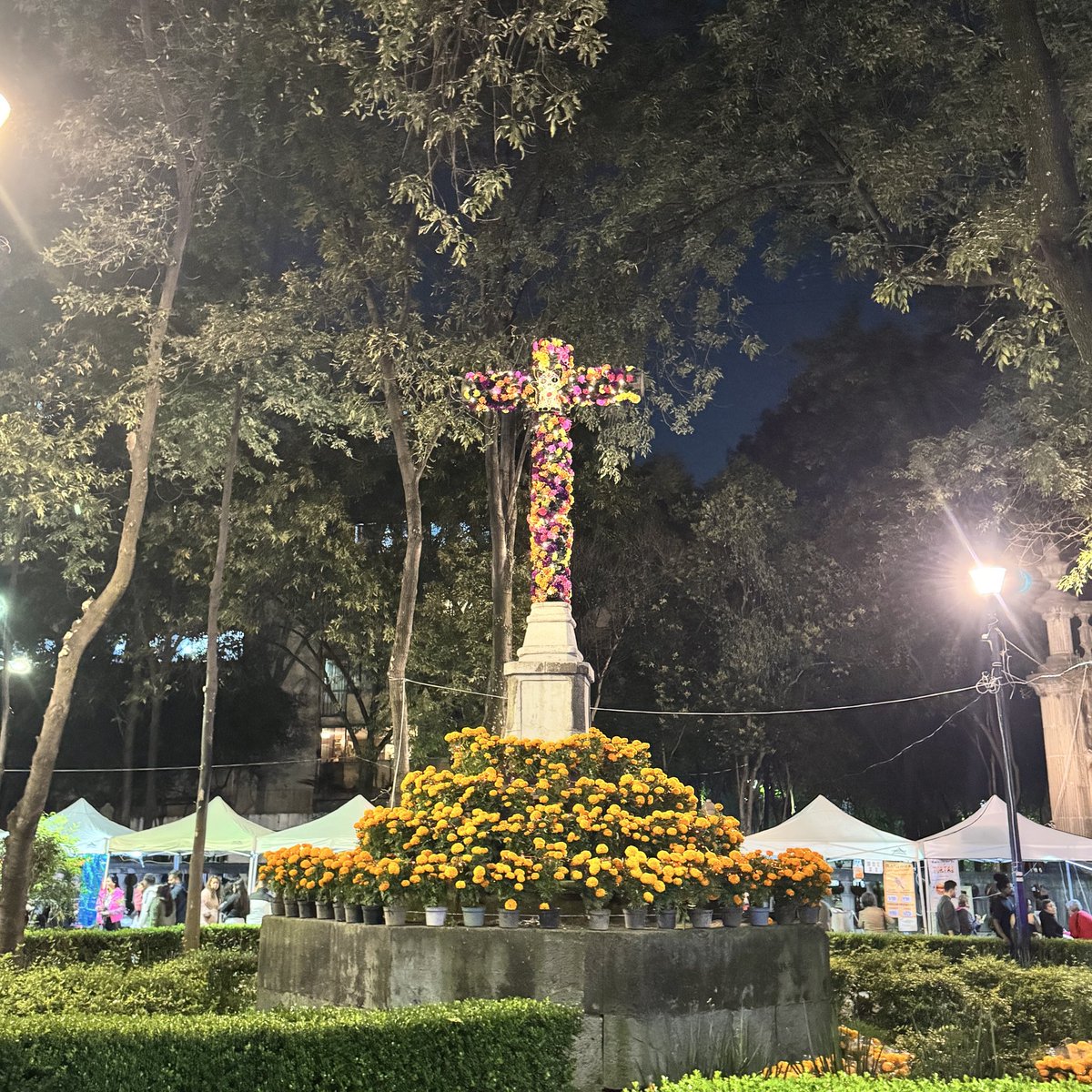 Ya inició!
Jardín Santiago en #Tlatelolco.
