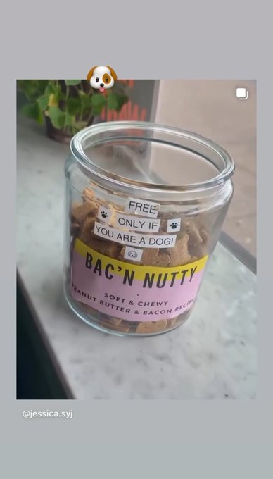 First image shows a clear glass jar filled with dog treats labeled Bacon and Nutty with a pink and yellow wrapper, a free sticker saying only if you are a dog, placed on a windowsill with a plant and dog emoji filter. Second image depicts two women taking a selfie in a luxurious bathroom with gold accents and mirrors, one with dark hair in a black top and jeans, the other with glasses in a white top and brown jacket, holding a pink phone. Third image features a vibrant bouquet of pink roses, orange lilies, and other flowers in pink wrapping with a Ralph Lauren card on a dark surface. Fourth image displays a bouquet of white roses and greens in white wrapping with a green birthday card in Korean text including Happy Birthday.