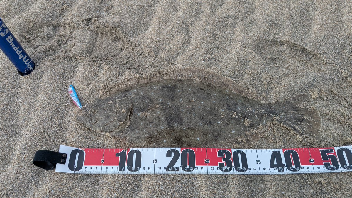 noriちゃん noriちゃん