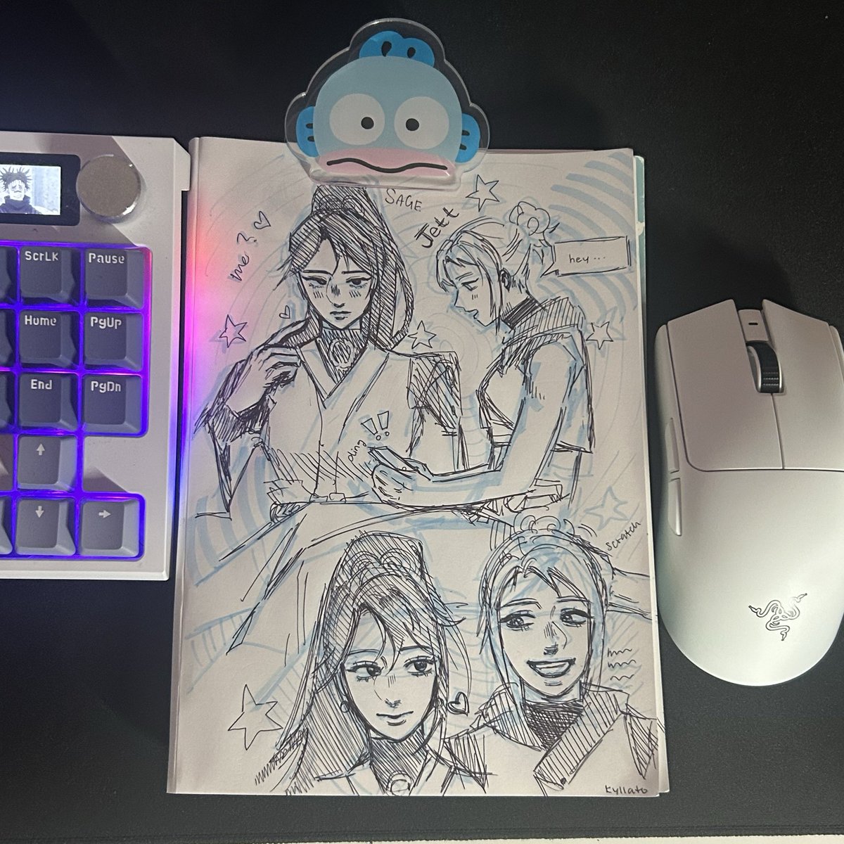 kyllato's tweet photo. I GOT NEW MOUSEEEE #sage #jett val val val https://t.co/KCSUwIa4dh