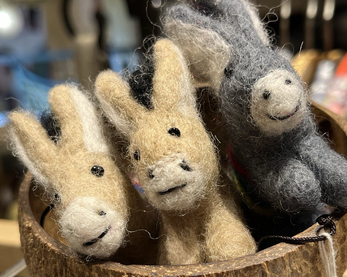 なっちゃん (@nacchan526) / Posts / X