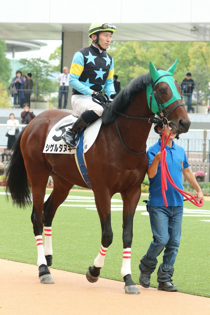 忠誠心ランガ akisuke🏇Jumpfan on X