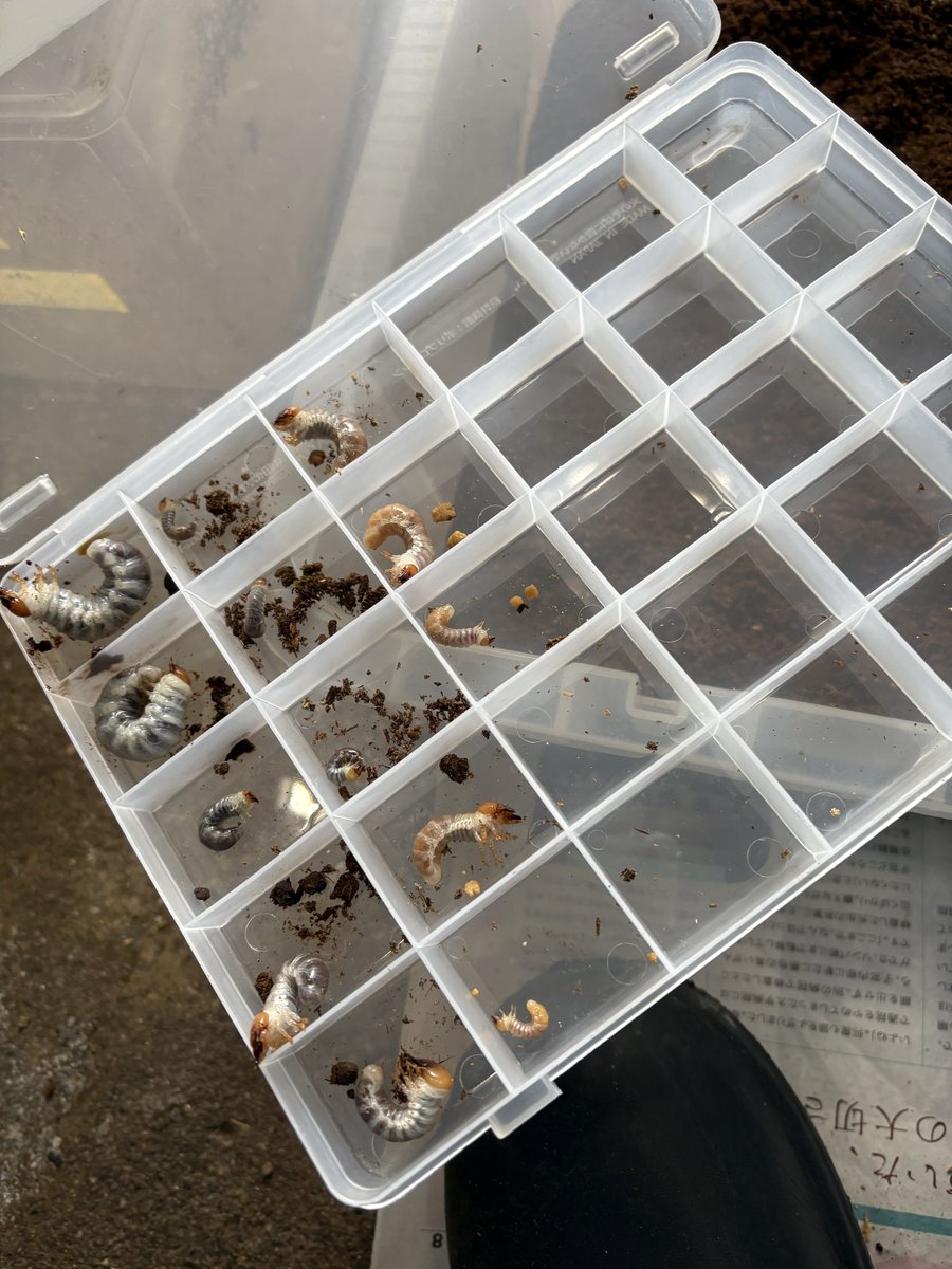 イチロー 16 (@tetu4411) / Posts / X