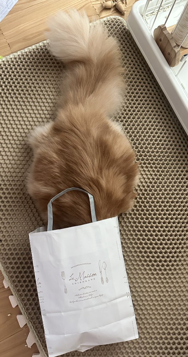 さすがに入れないと思うんだよね…