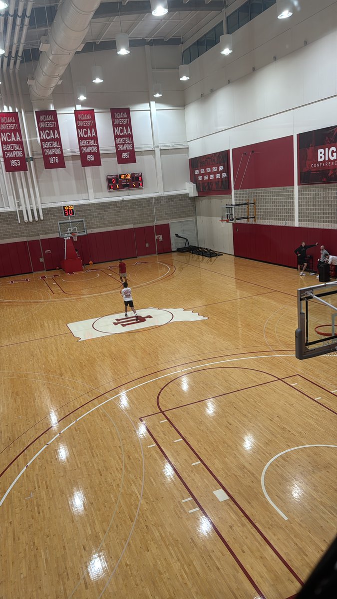 dominique schemmekes tweet media