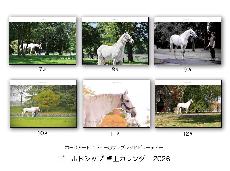 sala__life's tweet photo. ゴールドシップ壁掛け・卓上カレンダー2026第三弾！●写真家関真澄氏によるホースアートセラピー・サラブレッドビューティーシリーズ●癒しのカレンダーとして好評です●ゴールドシップオフィシャルグッズのお取り扱いは優勝記念品 
https://t.co/CgDYk3SYWw
#サラブレッドライフ
#ゴールドシップ 
#ホースアートセラピー
#関真澄
#サラブレッドビューティー
#ビッグレッドファーム