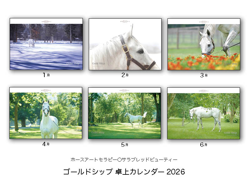 ゴールドシップ壁掛け・卓上カレンダー2026第三弾！○写真家関真澄氏