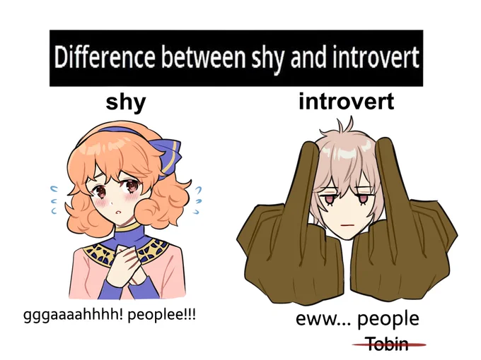 2 types of floof in Echoes 
