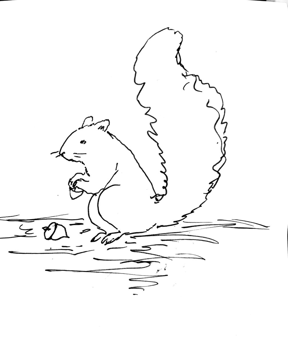 despite being a professional artist i just got smoked in a squirrel drawing contest with my wife