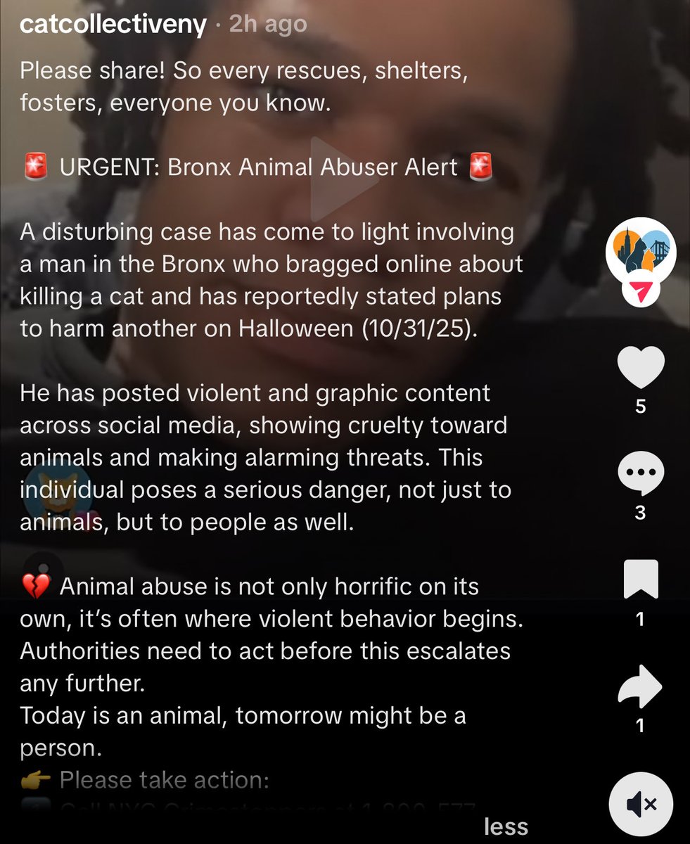 My NYC people please don’t leave your outdoor cats outside on Halloween. There’s an individual who unalived a cat and is threatening to do it again on Halloween