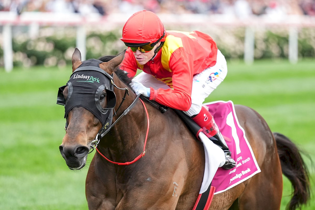 Lindsay Park Racing tweet media