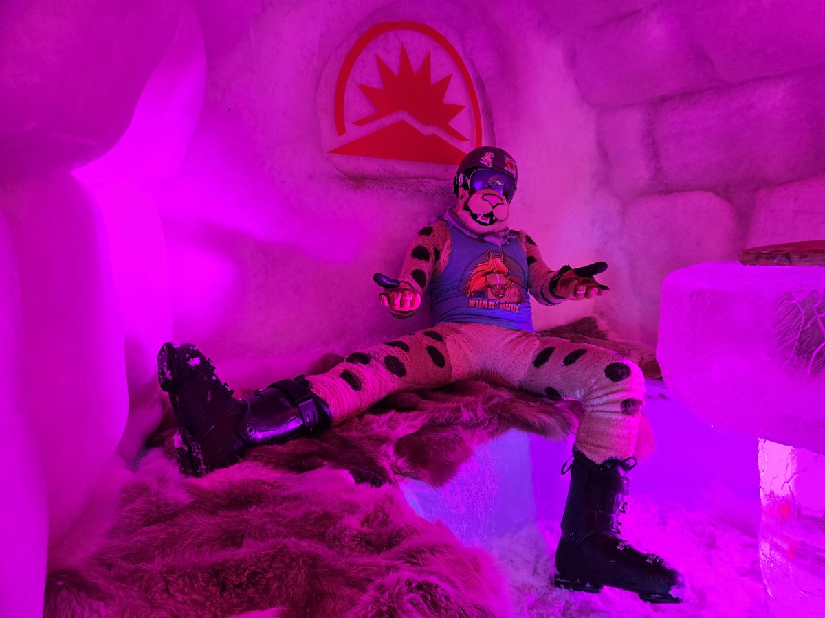 ChirpyCheetah's tweet image. Happy #FursuitFriday I wanna go skiing!! 🥰