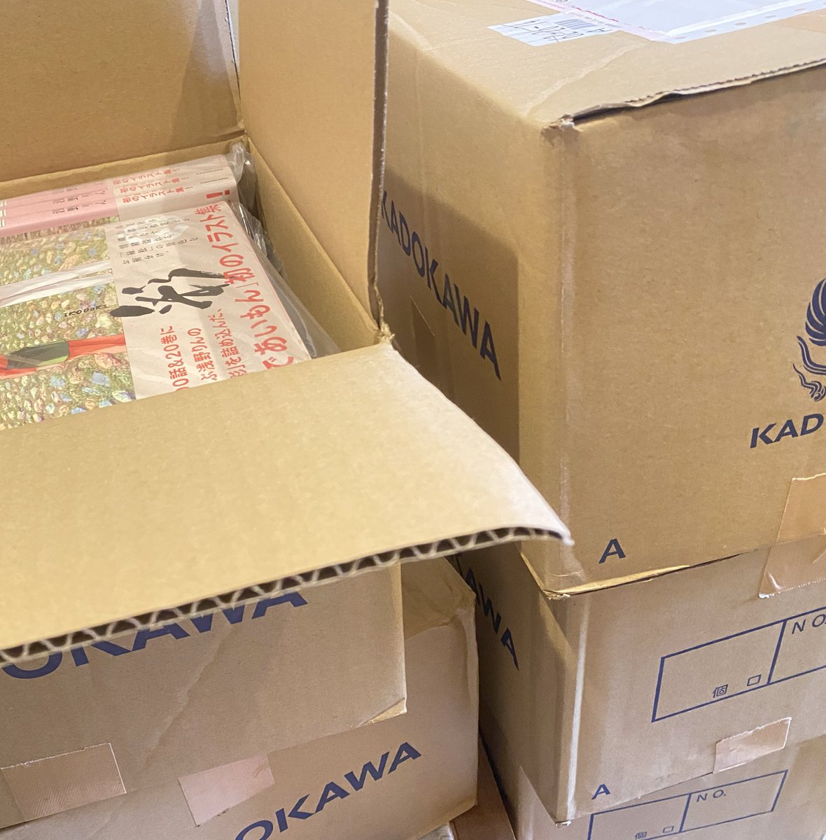 11月4日発売の画集、見本用の10冊に、WEBサイン本用のんが届いた。思っ