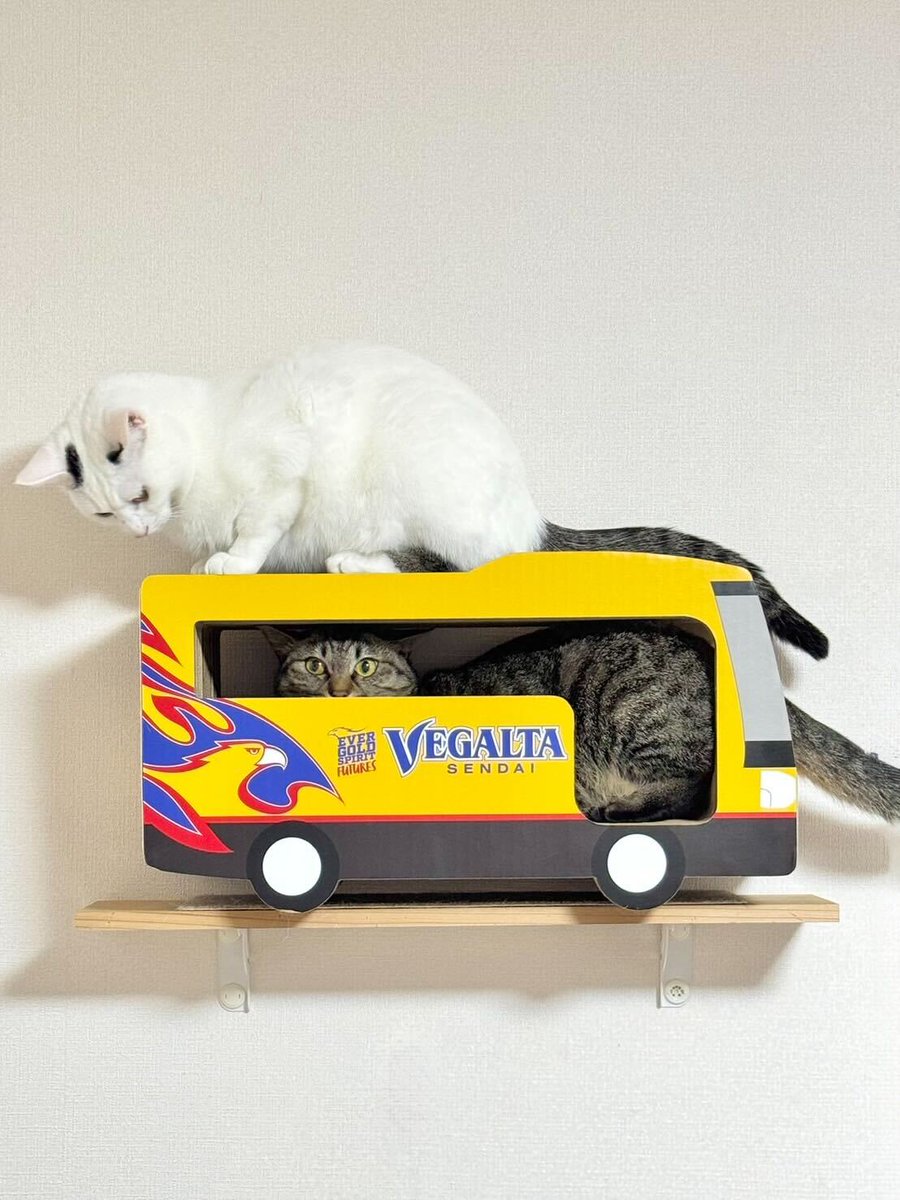 ベガルタ仙台 ベガルタ仙台【公式】 on X