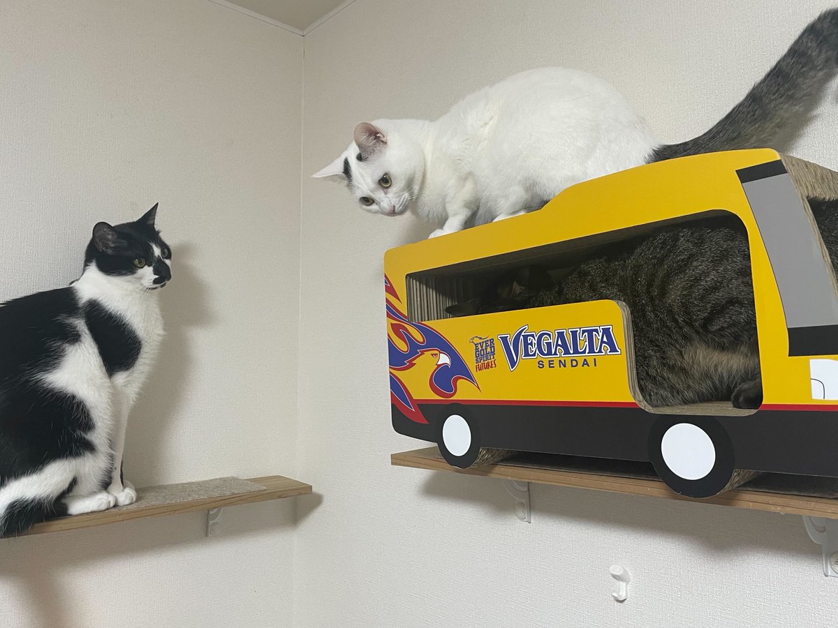 ベガルタ仙台 ベガルタ仙台【公式】 on X