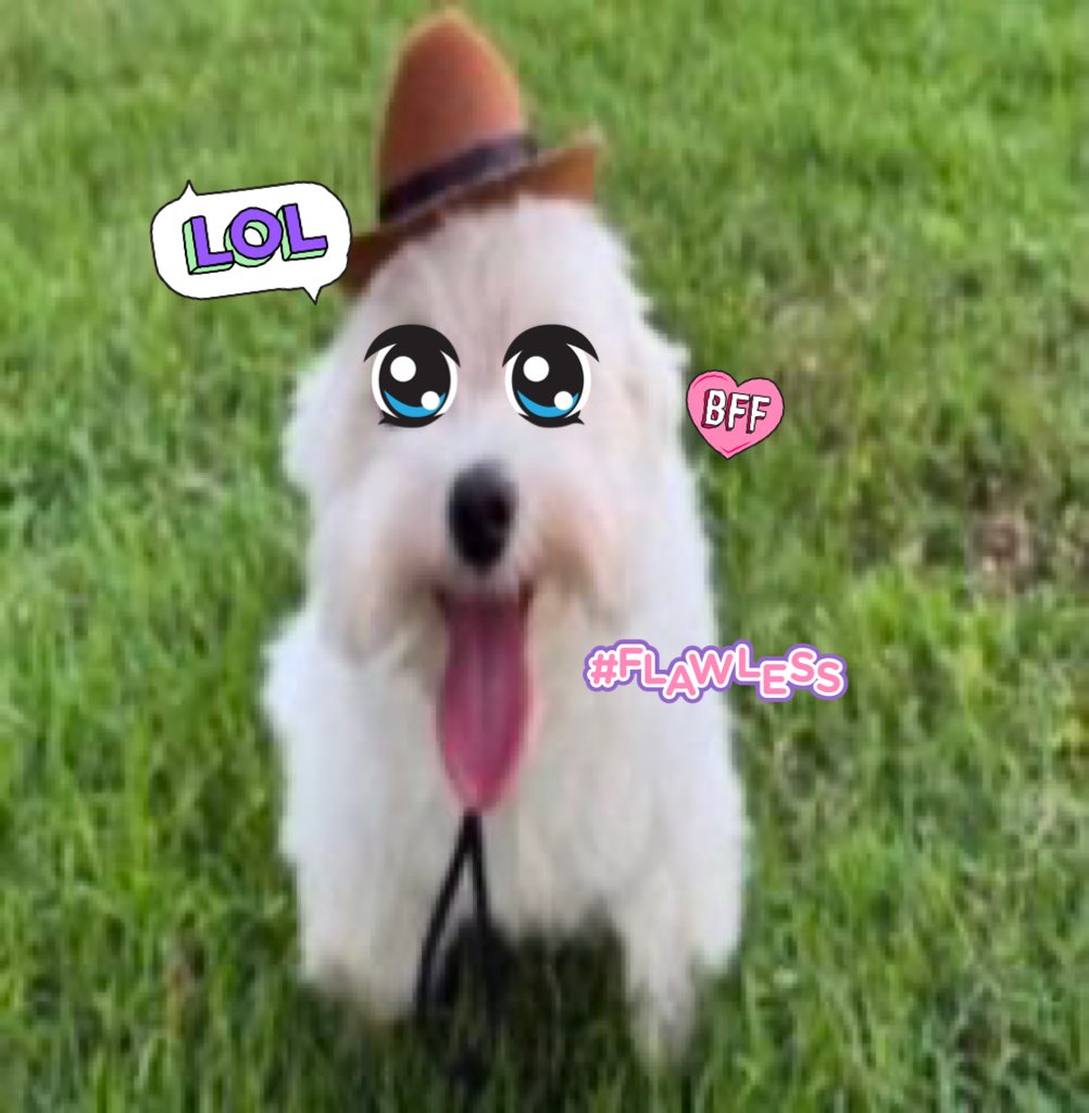 ♡k♡ EVIL melodyyyyyyyyyyyyyyyyyyyyyyyyyyyyyyyyy on X