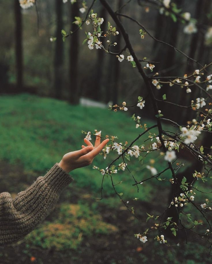 Someday, your sorrows will blossom a breathtaking spring in your heart🍃❤️‍🩹