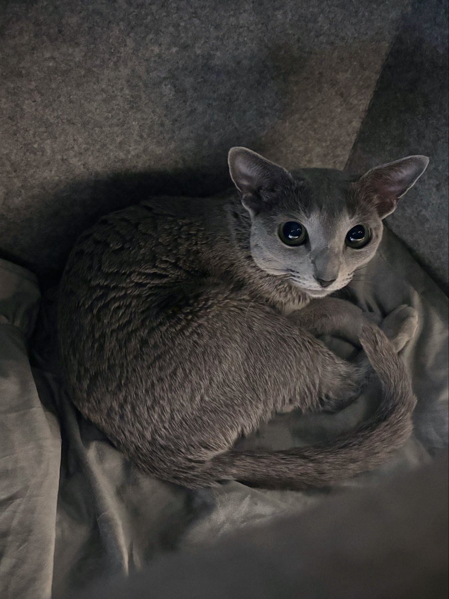 光宗薫 Kaoru Mitsumune 🐜🐜 (@mtmnkor) / Posts / X