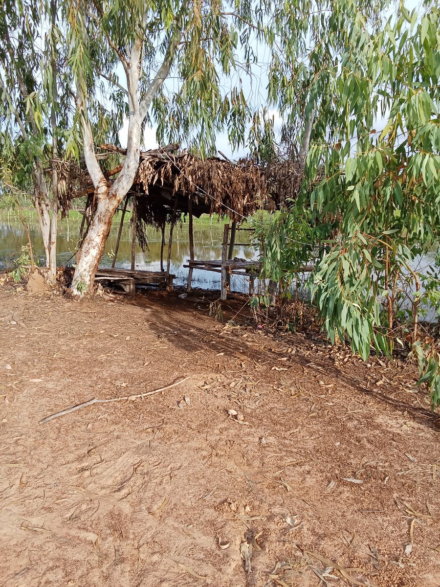 บรรยากาศมันน่า จริงๆ