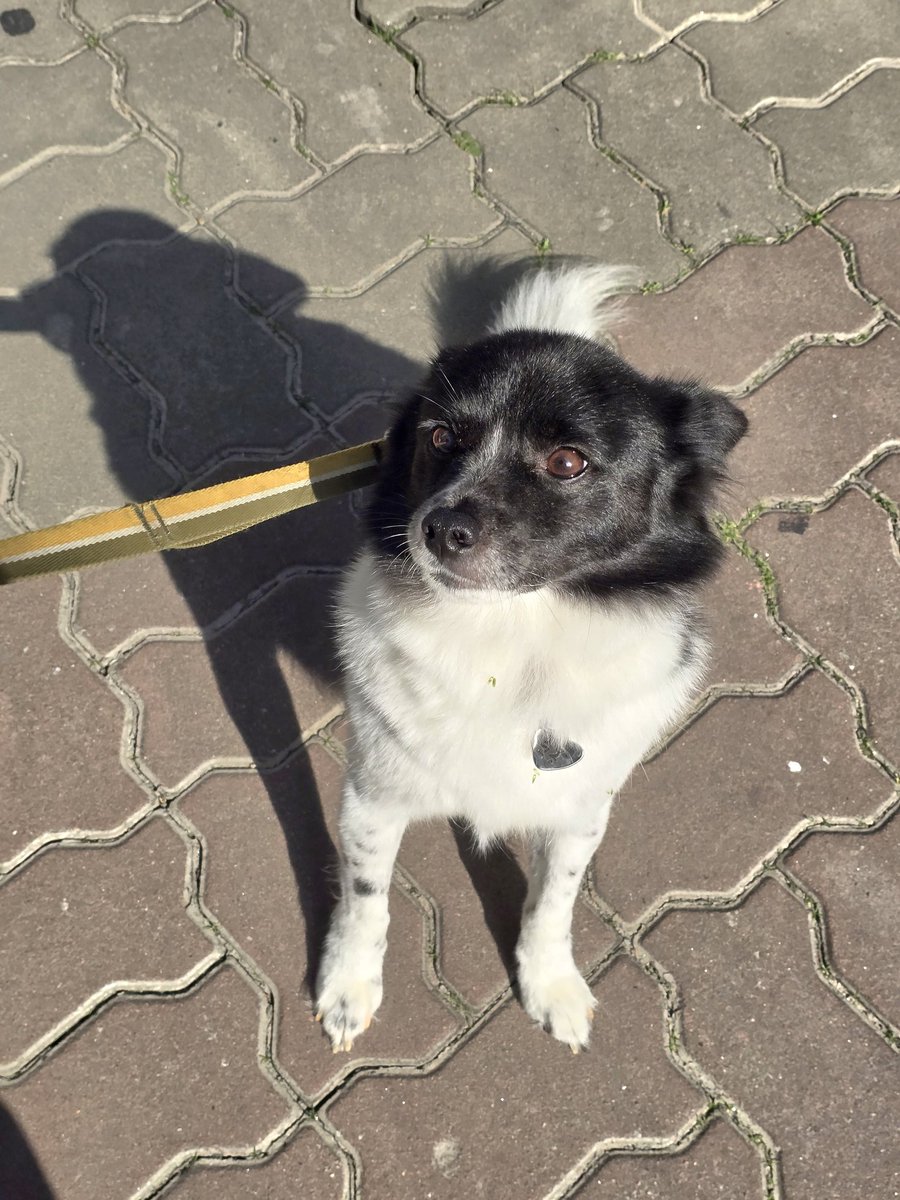 눈 색이 참 옙버요