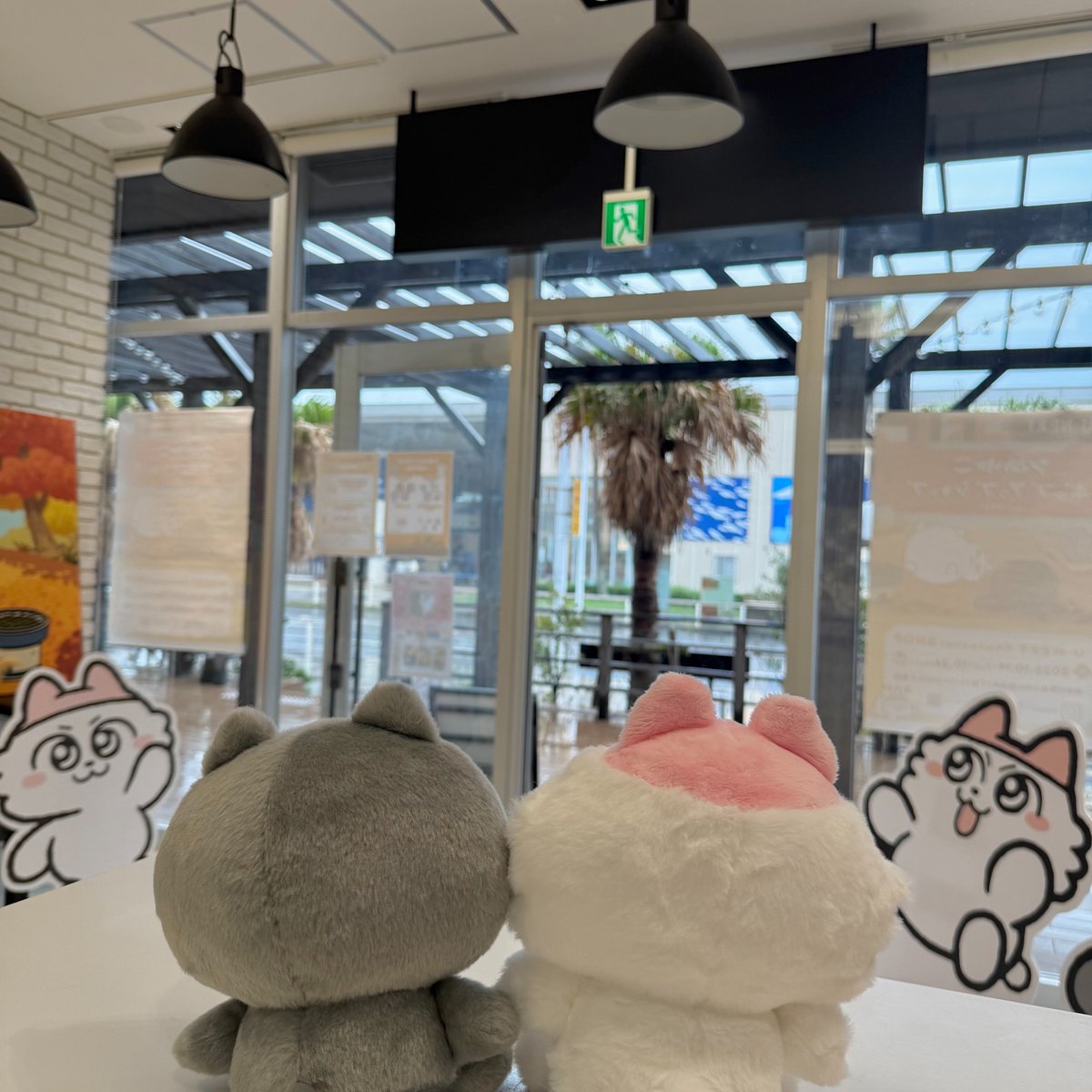 unextgoodsshop's tweet image. \\ ンめねこ ポップアップショップ by U-NEXT //

今日も元気にOPENしております！

が、、、
あいにくの雨で人通りが少ない・・💦

今日は入口でンめねことうすくろが店番をしているので会いに来てね～！
皆さまのご来店をお待ちしております♪

#江の島 #江ノ島  #ンめねこ #うすくろ #UNEXT