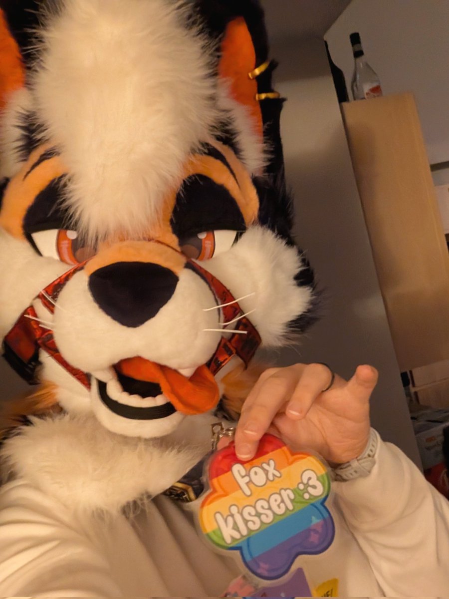 Fox 🦊🔜 TFF, FWA tweet media