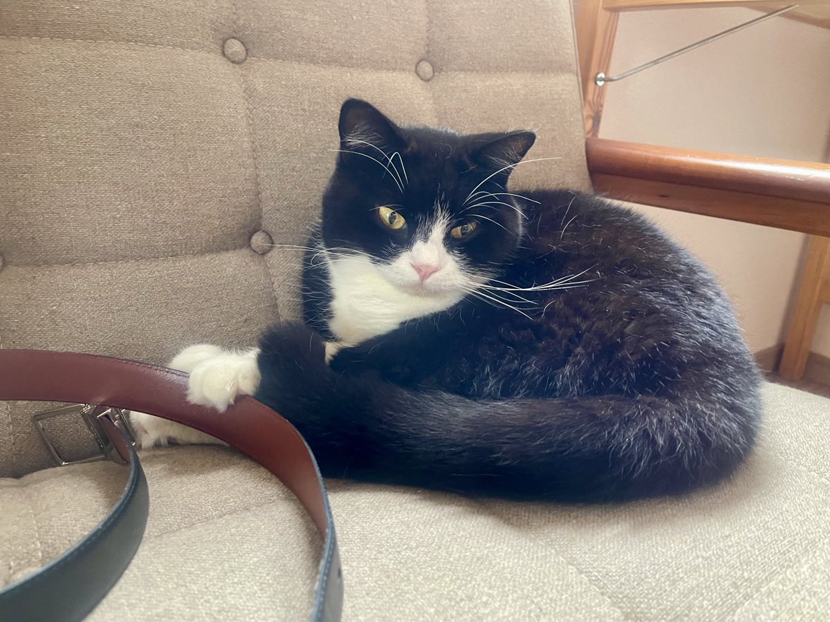 たろう (@taro20216) / Posts / X