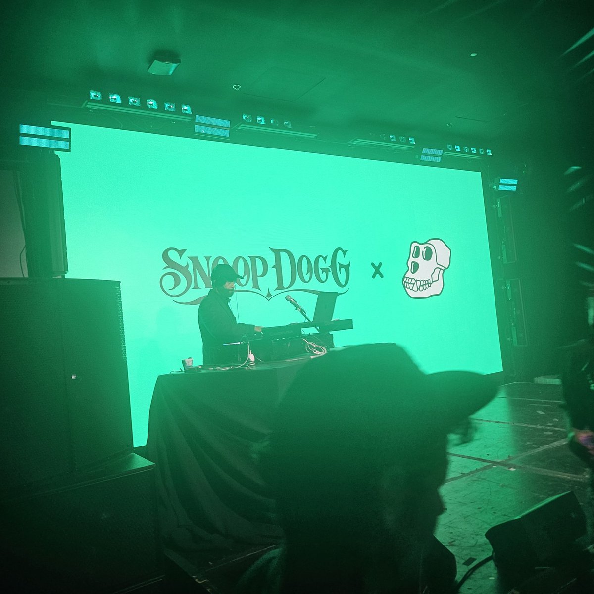 Is that you Snoop? Are you here?👀