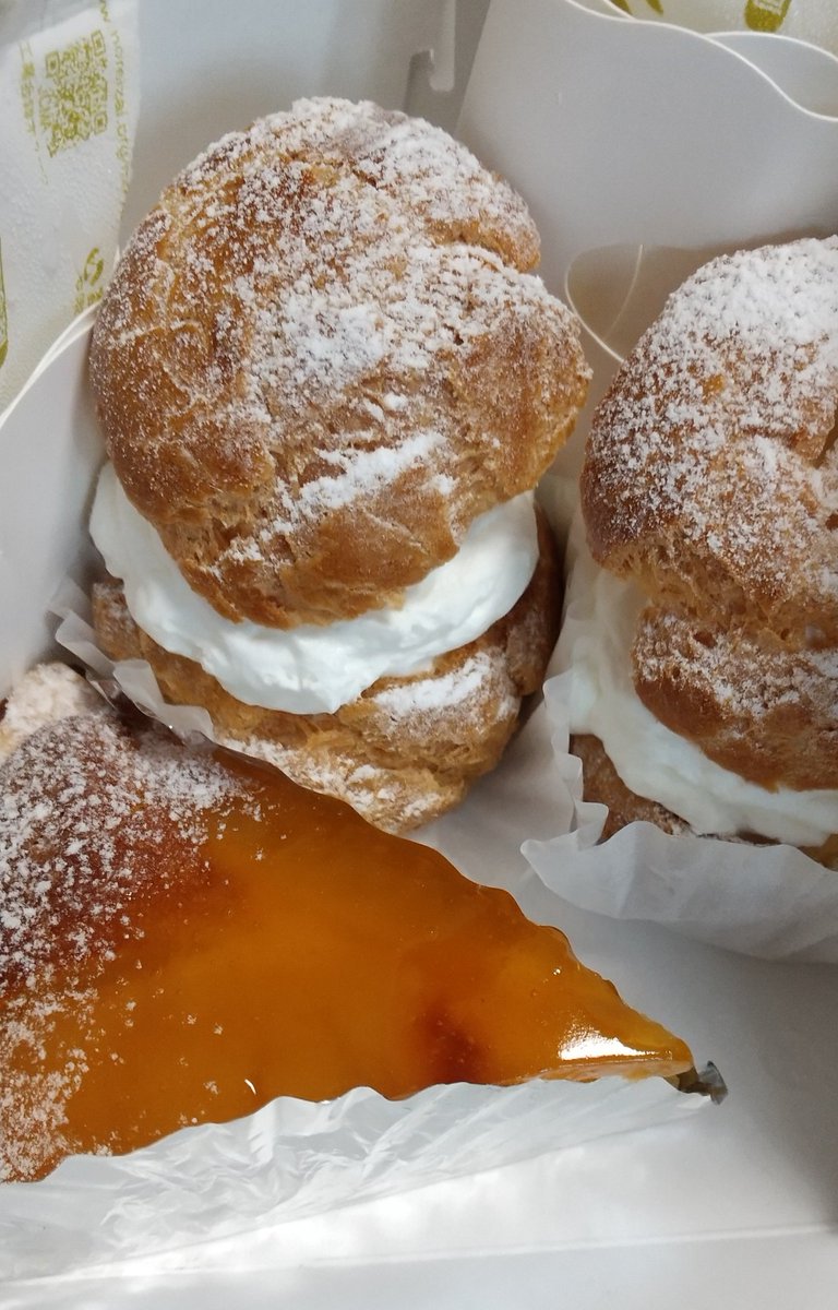 ねこっこページ cocco (こっこ) on X