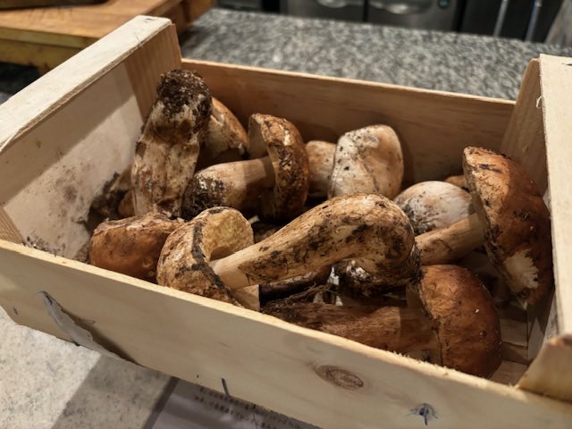 MechamoteD's tweet photo. 🍄【秋の味覚、ポルチーニ🇮🇹】

東へ西へと食べ歩き🎵
この1ヶ月でポルチーニ茸をたっぷり堪能🤤
あの“傘の下のトロトロ感”と香り…最高✨

次回の料理教室はついに‼️
🍝ポルチーニのパスタ🍝

📅11/16（日）11:00〜13:30
📍江坂駅すぐ
残り3席ほど！

一緒に秋の香りを感じましょう🍁 https://t.co/dwVkI3aAQg