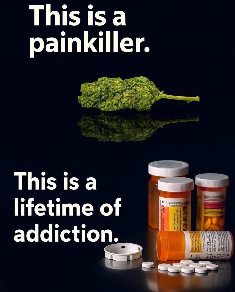 HighAngel's tweet image. 