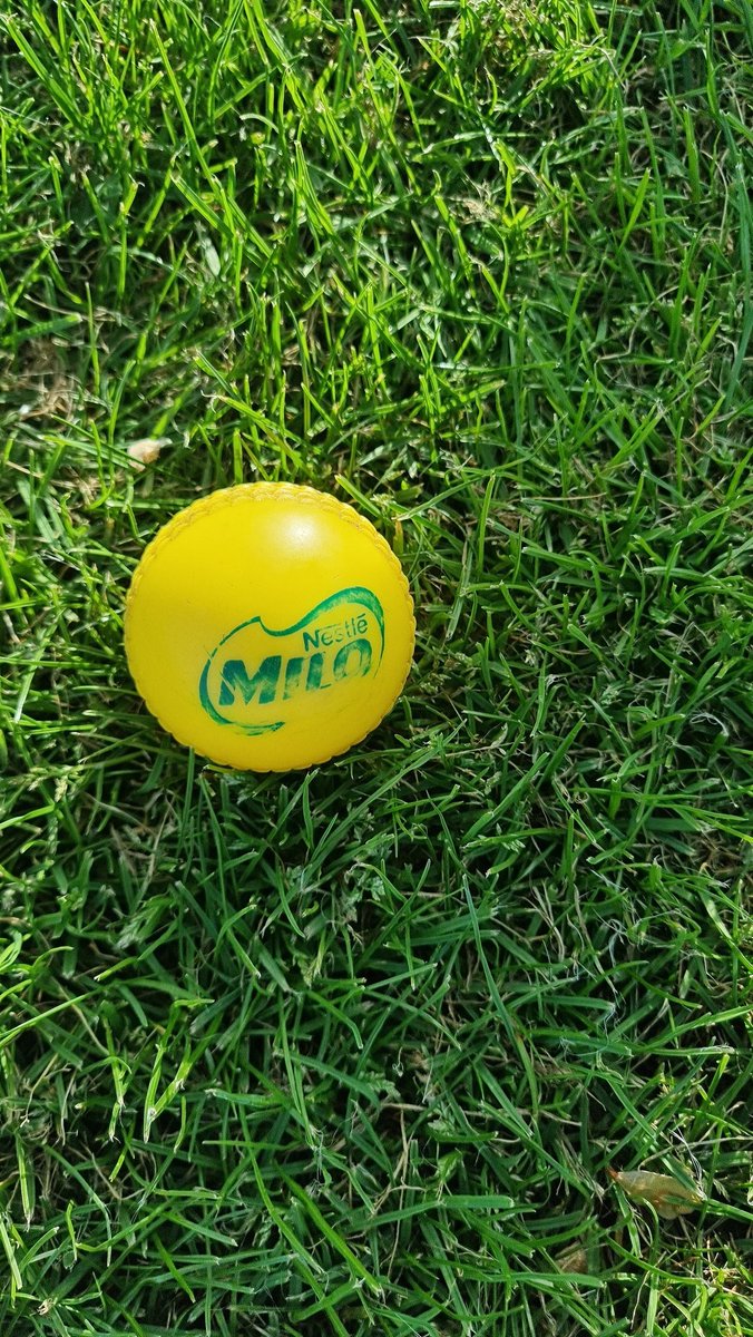 Who can remember this great kiwi sporting partnership! This ball is a survivor and still going strong in our junior cricket bag.❤️🙌