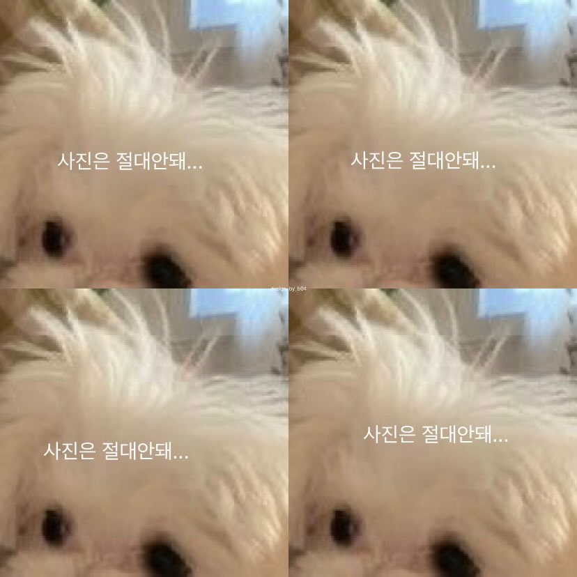 design_by_b04's tweet photo. 사진은 절대안돼...      사진은 절대안돼... 

사진은 절대안돼...      사진은 절대안돼... 

오케이 백현아

#큥이버블 https://t.co/y1a8bzRy4S