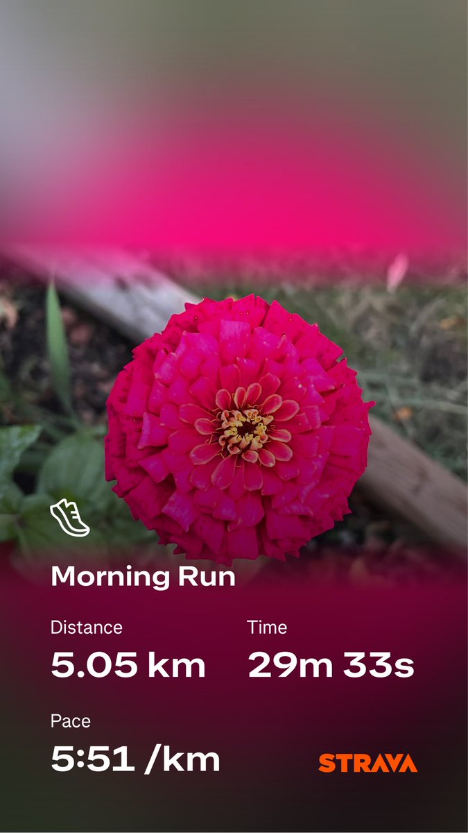 kunrup's tweet photo. Friday double double. Ran 5K early morning and walked 5K late night. Gotta digest those sweets from last few days of celebrations.
#brampton #stayactive #staymotivated #positivity #runforfun #walkforhealth #myhealth https://t.co/HCiGJsFUMg