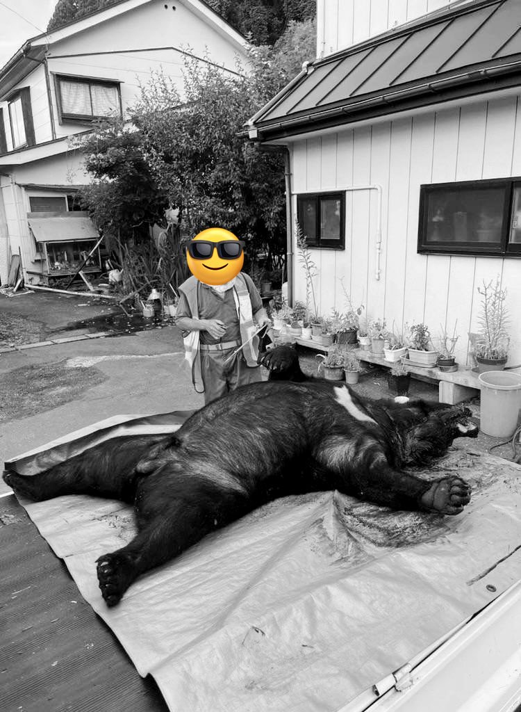 コストコのツキノワグマ コストコのツキノワグマ