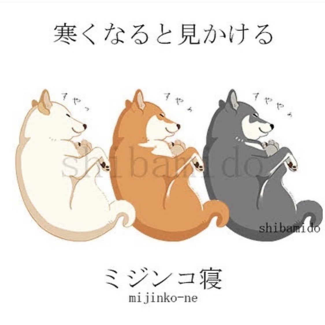 柴三堂@柴犬絵描き人 on X