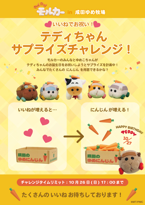 ／
いいねでお祝い🎂
テディちゃんサプライズチャレンジ
＼

10月27日はテディちゃんのお誕生日なの～🎂！
モルカーたちやゆめこと一緒に、
みんなでテディちゃんにサプライズでにんじんをプレゼントしよ～なの🥕

この投稿に「いいね」をすると、