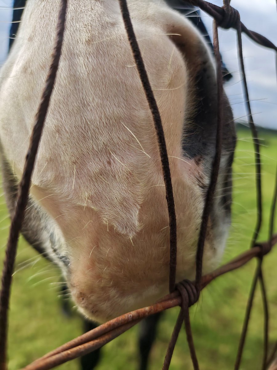 ノースポール✼ サイト内検索 | 車止めや旗ポール等の製造販売なら株式会社サン