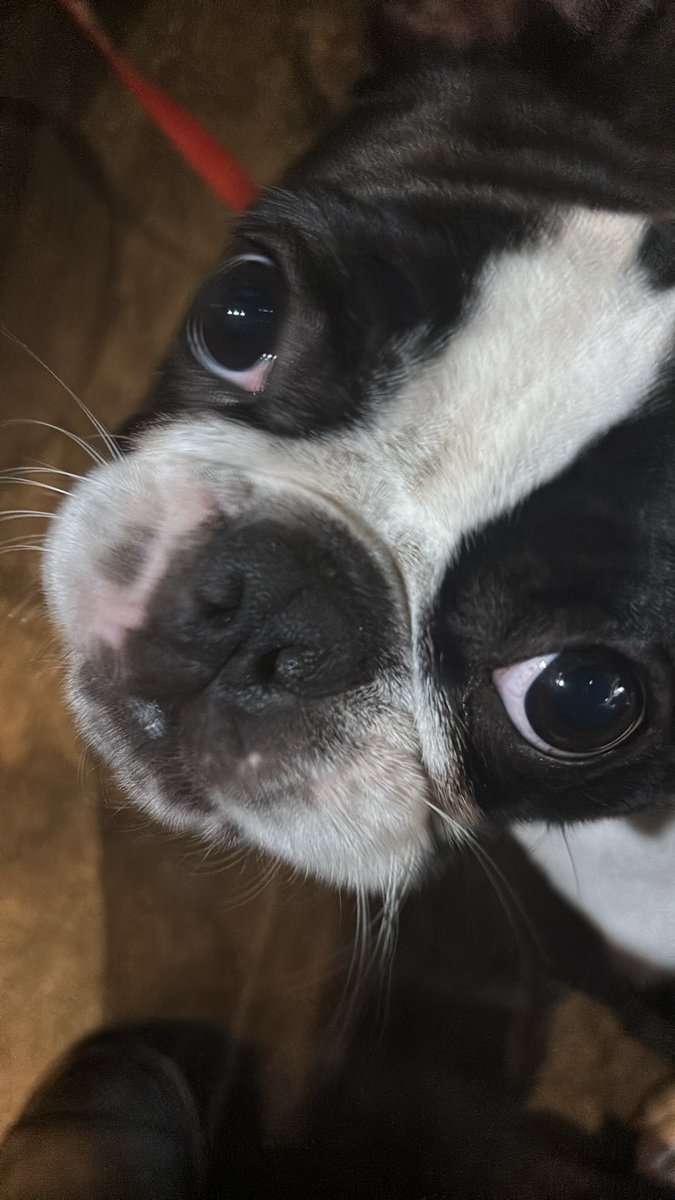 sena ※プロフ ページ スナ on X