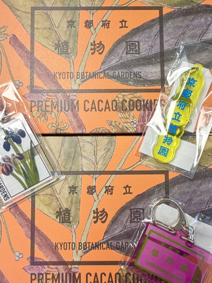 art_rectangle's tweet image. 京都府立植物園にて開催中のLIGHT CYCLE KYOTOにて
限定ストア【KYOTO BOTANICAL GARDENS STORE】がオープン中🏕️それに伴いdari K✖️京都府立植物園とのコラボパッケージのカカオサンドクッキーを販売🍪
当店では植物の書籍や植物園アイテムなどと合わせて展開中🌿
個包装なのでお土産にもぴったり✨