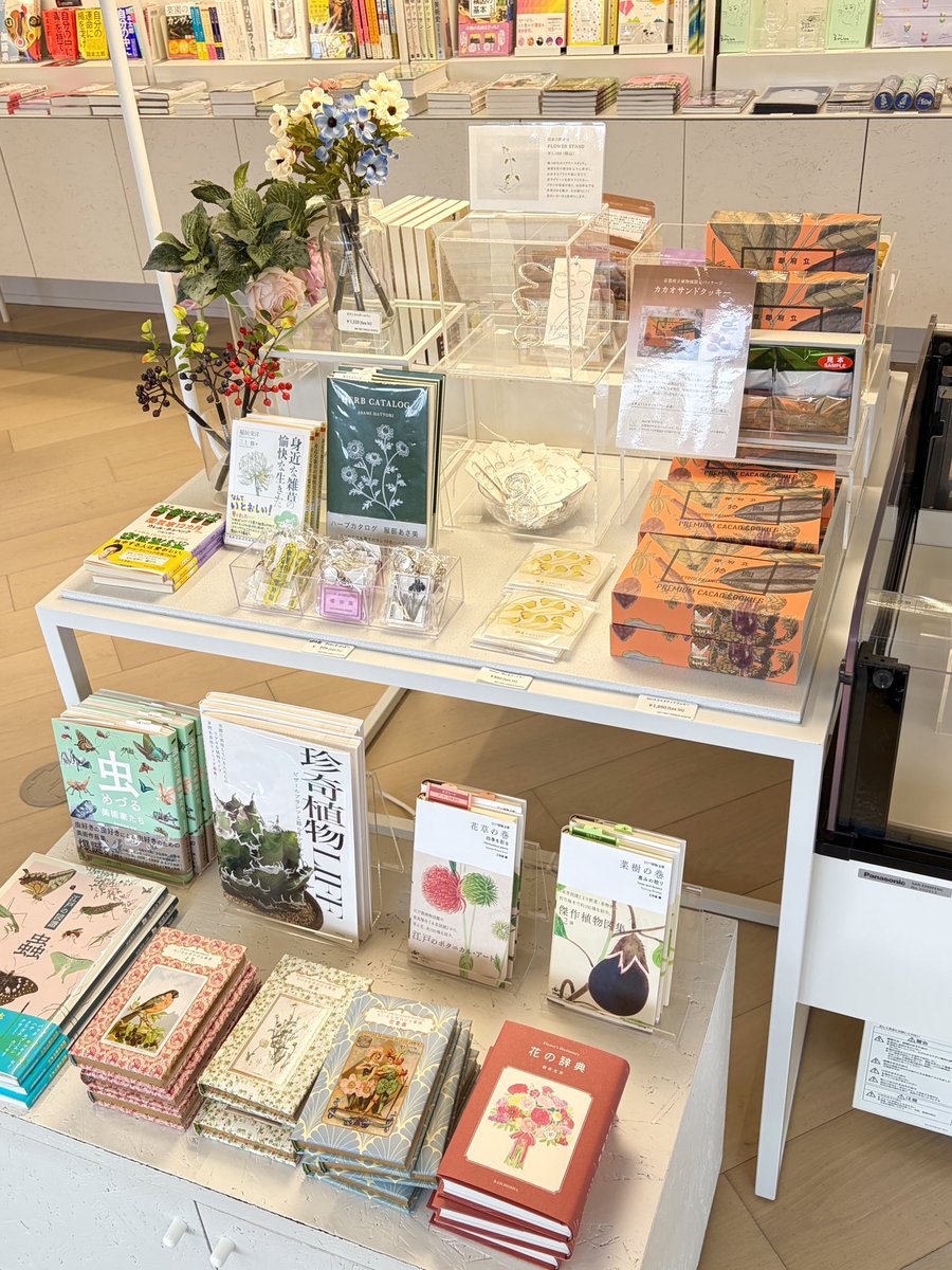 art_rectangle's tweet image. 京都府立植物園にて開催中のLIGHT CYCLE KYOTOにて
限定ストア【KYOTO BOTANICAL GARDENS STORE】がオープン中🏕️それに伴いdari K✖️京都府立植物園とのコラボパッケージのカカオサンドクッキーを販売🍪
当店では植物の書籍や植物園アイテムなどと合わせて展開中🌿
個包装なのでお土産にもぴったり✨