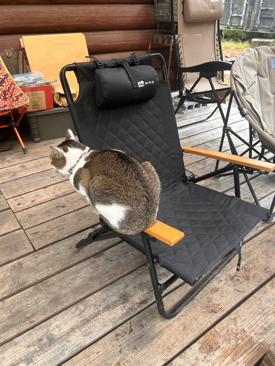 はっしんパパ⭐️🏕Camp (@84papapapa) / Posts / X