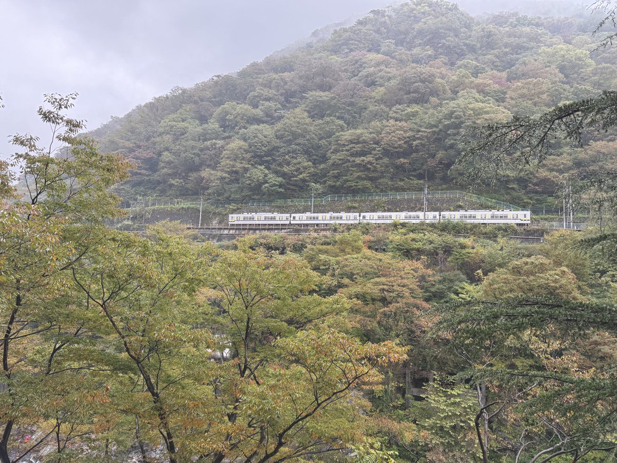現在小雨が降っていますが...
こんな日こそ温泉にゆっくりと
浸かりたくなりますね☺️☔️♨️

#日光
#鬼怒川温泉
#温泉旅行