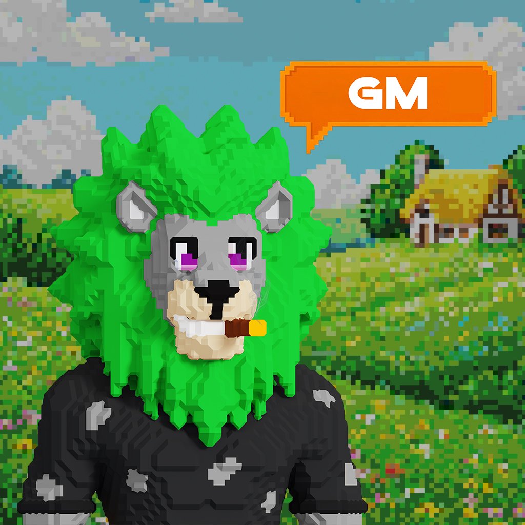 Alpha Lions tweet media