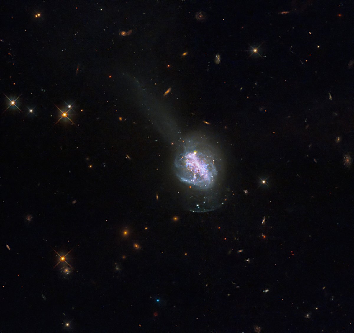 Astropics_bb's tweet image. ハッブル宇宙望遠鏡がとらえた、青色コンパクト銀河(BCG)と呼ばれるタイプの銀河「ESO 185-IG013」。BCGは、爆発的な星形成を示す近傍銀河です。
Image Credit: NASA, ESA, and R. Chandar (University of Toledo); Processing: Gladys Kober (NASA/Catholic University of America)
(1/2)