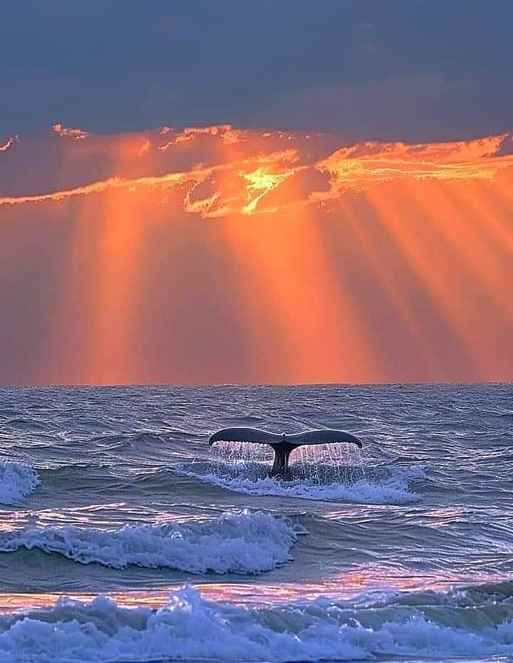 Ashu451724's tweet image.